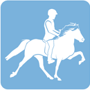 equitation islandaise