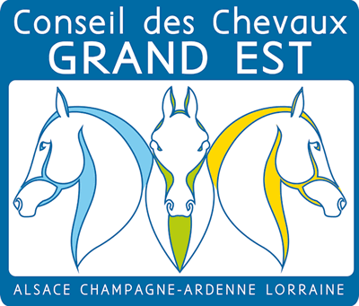 conseil des chevaux